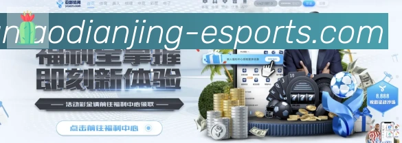 未来规划